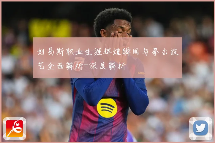刘易斯职业生涯辉煌瞬间与拳击技艺全面解析-深度解析